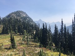 Maple Heather Trail, WA